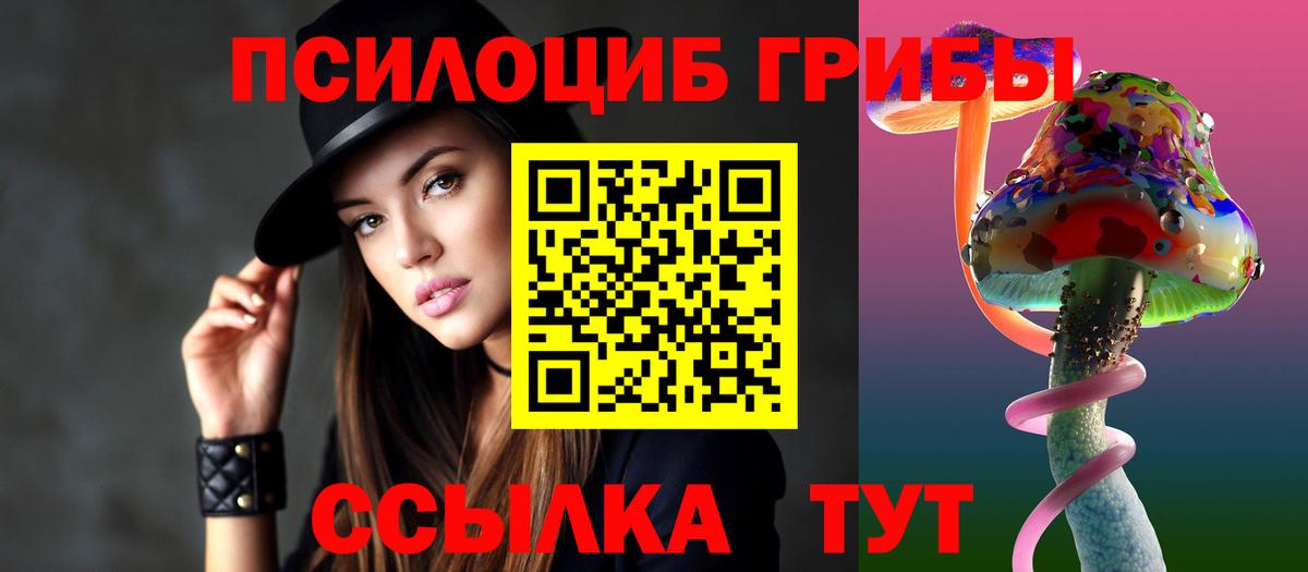 где купить наркотик  Новоалександровск  Галлюциногенные грибы GOLDEN TEACHER  Галлюциногенные грибы GOLDEN TEACHER 