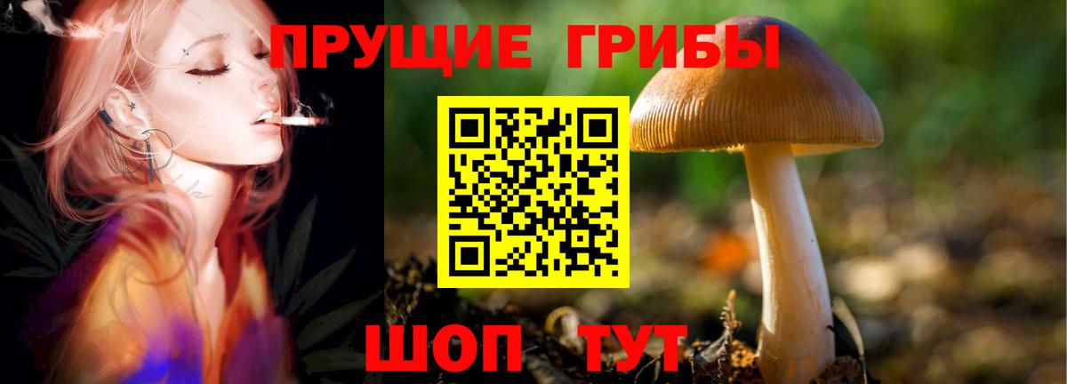 Новоалександровск  Галлюциногенные грибы Magic Shrooms  Галлюциногенные грибы Cubensis  Вход с VPN 