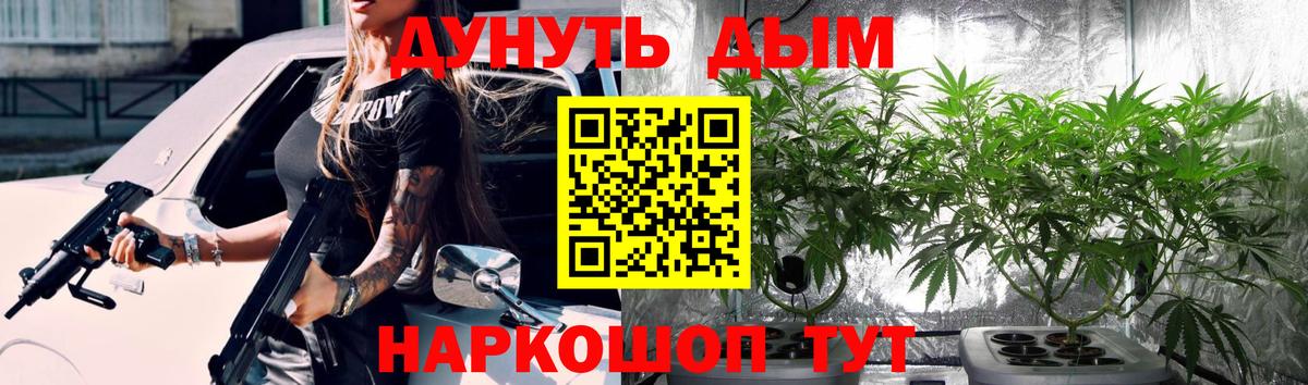 Бошки марихуана марихуана Новоалександровск